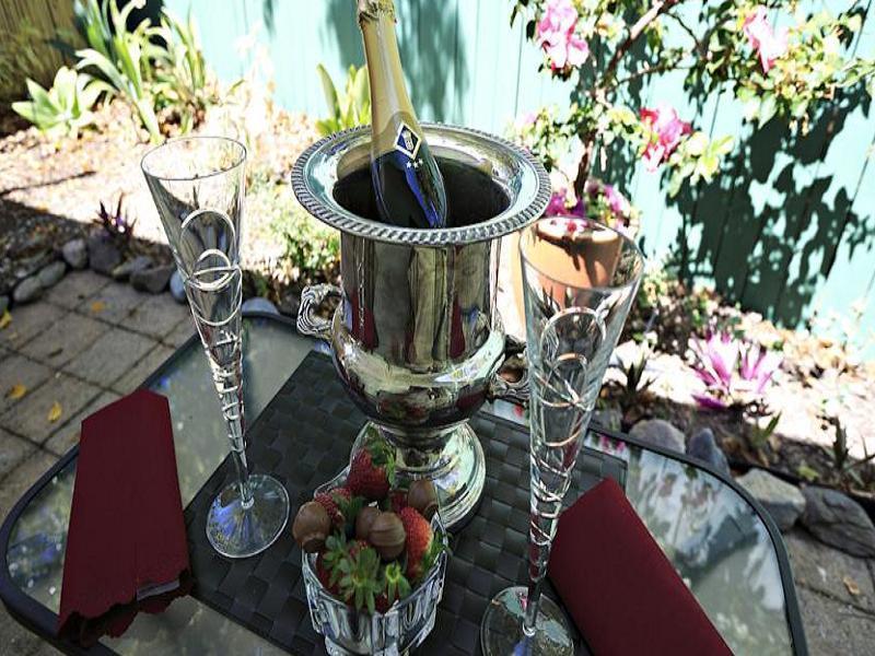 South Pacific Bed & Breakfast Clifton Beach Dış mekan fotoğraf