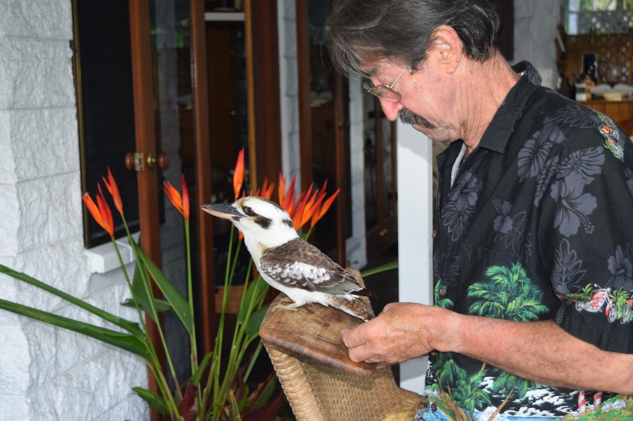 South Pacific Bed & Breakfast Clifton Beach Dış mekan fotoğraf