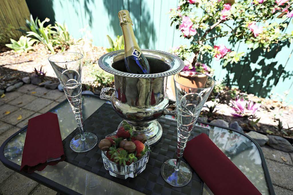 South Pacific Bed & Breakfast Clifton Beach Dış mekan fotoğraf